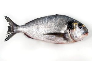037 DORADA