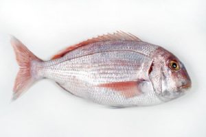 064 PARGO