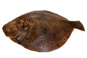 coruxo