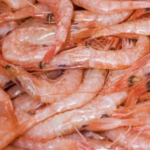 macro-shot-fresh-shrimp-store